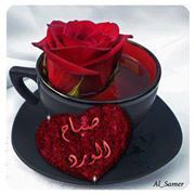 Yasin Mohammed