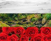 Силвия Вутова