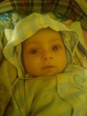 امين العنسي