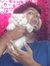 Karan B...