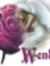Wendy T...