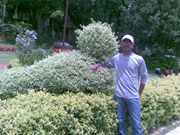 Narava Revanth kumar