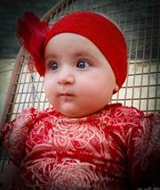 Hamid Sofi