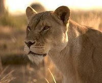 Karthika Krishnasamy