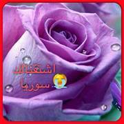 حنين الياسمين