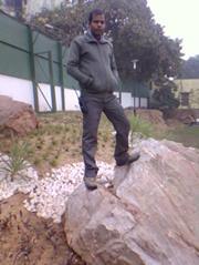 Tn Singh