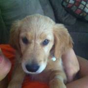 Debbie Struna bukantis