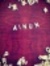 Ainun R...