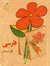 Aysan