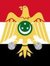 Amr Nahas