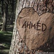 Ahmed Osama