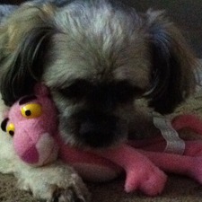 Carly