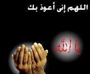 حامد اللبيب