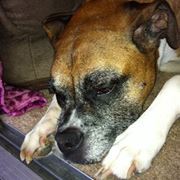 Bay Sparkman fennessy