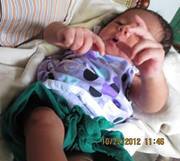 Naresh Theddu