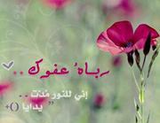Ebaa Rabee