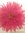 Beth K (callaflower) | 19 comments