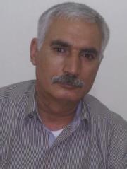 Abdel-rahman Kiswani