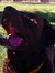 Ben