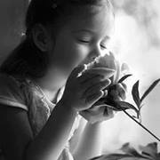 فردوس الجنه