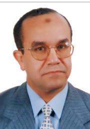 Adel Awad