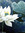 Lori | 2 comments
