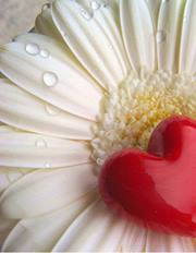 هيا الحسيني