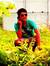Ahmed C...