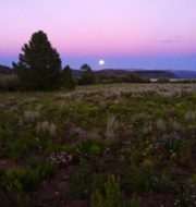 Sarah Scanlan bakeberg