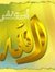 Salim Y...