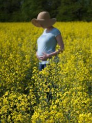 Alžbeta Takácsová