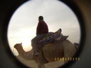 Biswanath Bhattacharya