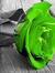 Eugenia Carmona chassoul