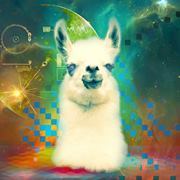 Чимиджими Чамиджоми