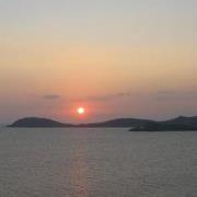 Ann O'Connell Kelley