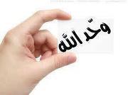 نجيب المليح