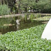 Саша Блаженко