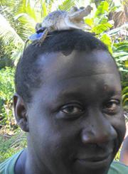 Joe Donkor