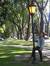 Talar M...