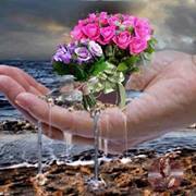 اسماء البرديني