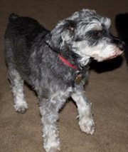 Nancy Reicks kiflemariam