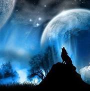 Duncs Van der lingen