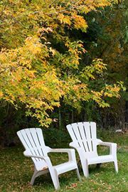 Joette Baity nielson