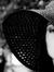 Hadeel ...