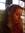 Eliza W...