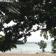 Kimchi's Zen