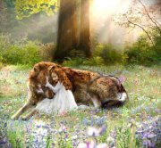 นู๋แห้ง ตัวน้อยตัวนิด