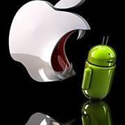 محمد المغربي