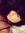 Doina P...