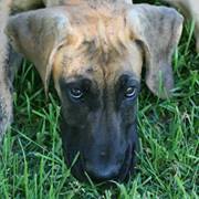 Carol Markiewicz-power